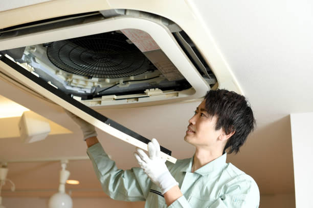 Best Affordable Duct Cleaning Services  in Harbor Bluffs, FL