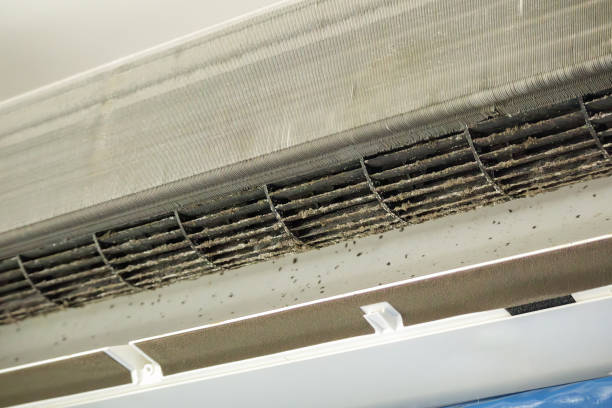 Professional Airduct Cleaning in FL