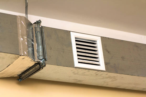 Best Dryer Vent Cleaning Services  in Harbor Bluffs, FL